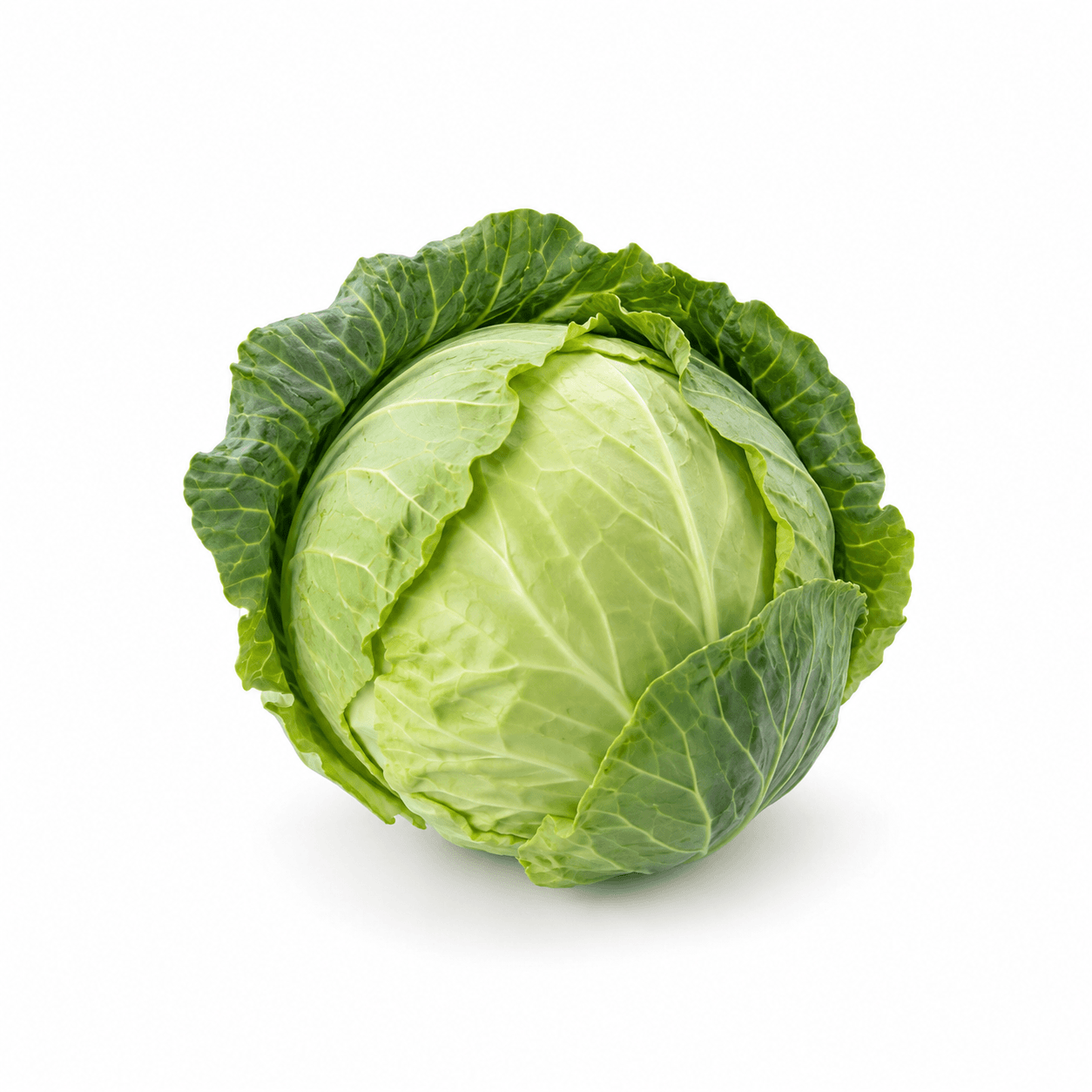 Cabbage