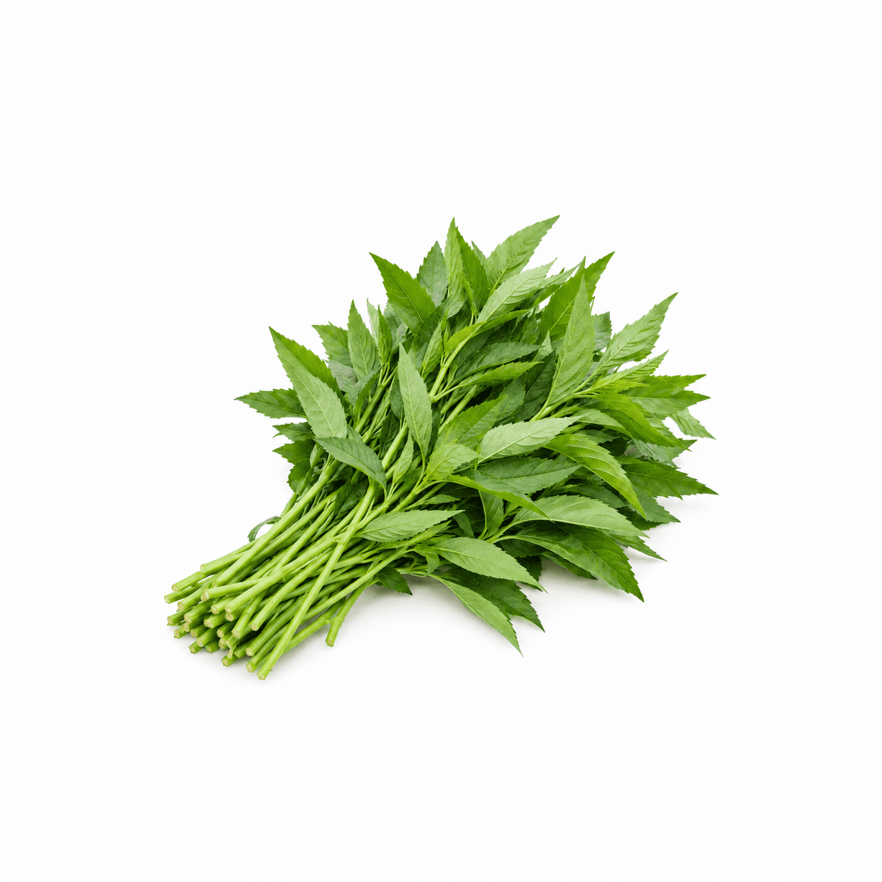 Ewedu