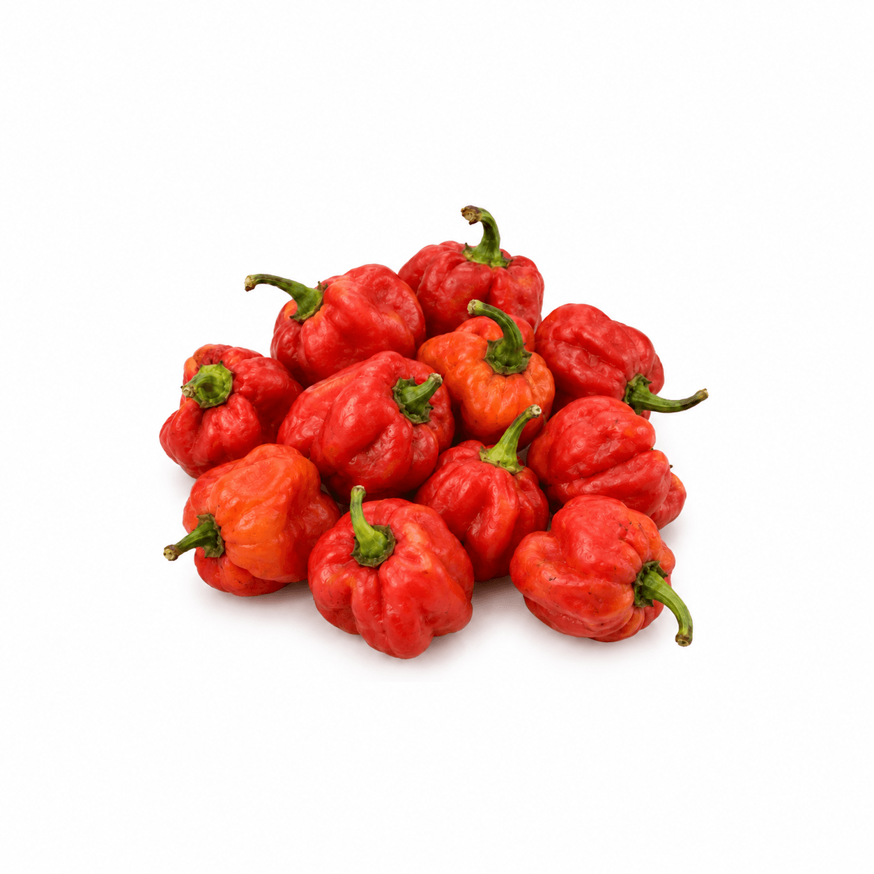 Scotch Bonnet Pepper (Ata Rodo)