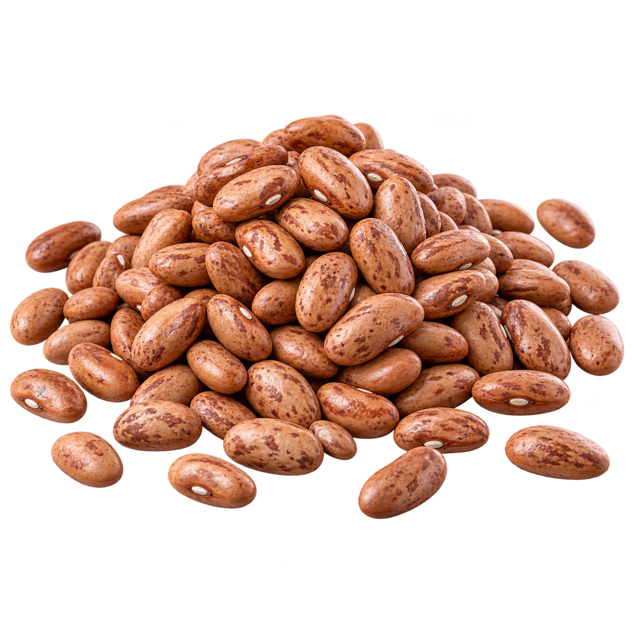 Brown Beans
