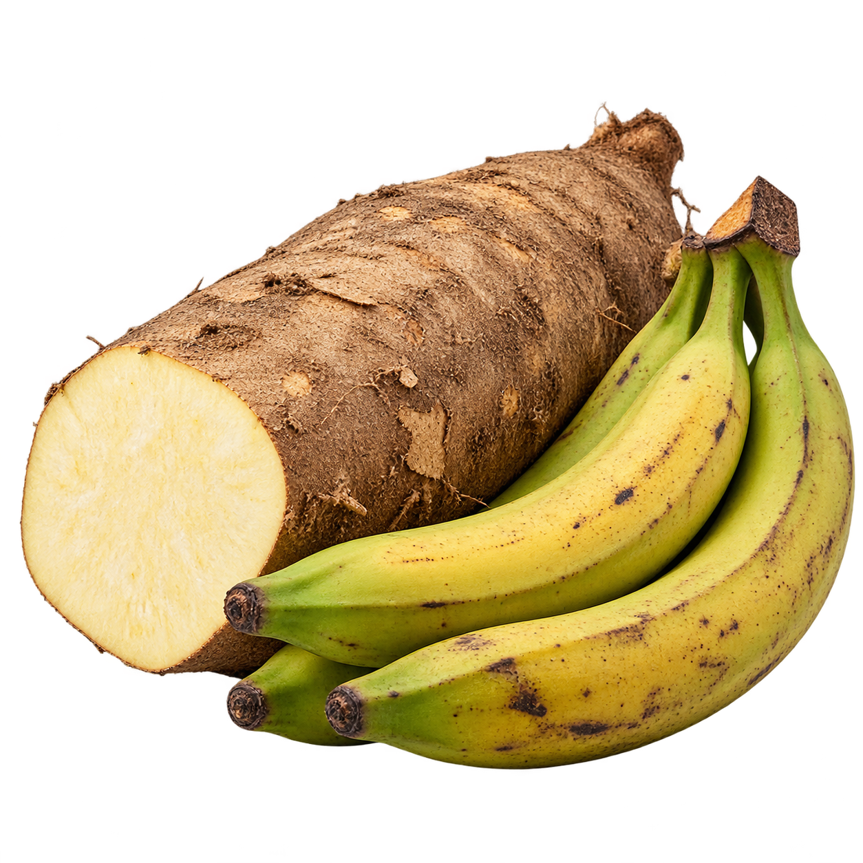 Plantain